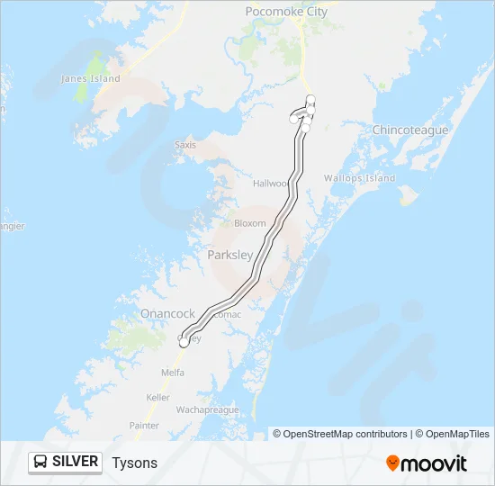 SILVER Bus Line Map