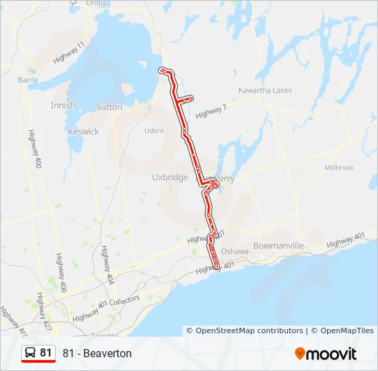 Map Of Beaverton Ontario 81 Route: Schedules, Stops & Maps - 81 - Beaverton (Updated)