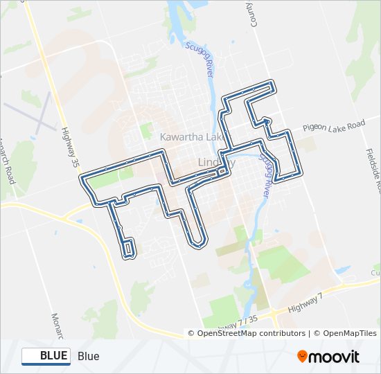 BLUE bus Line Map