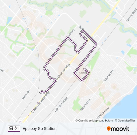 81 bus Line Map