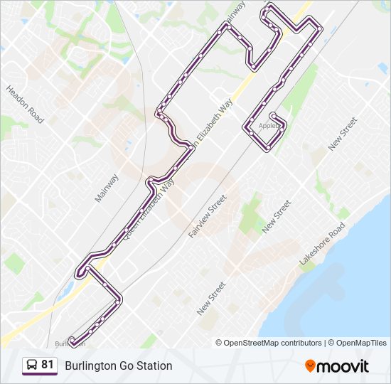 81 bus Line Map