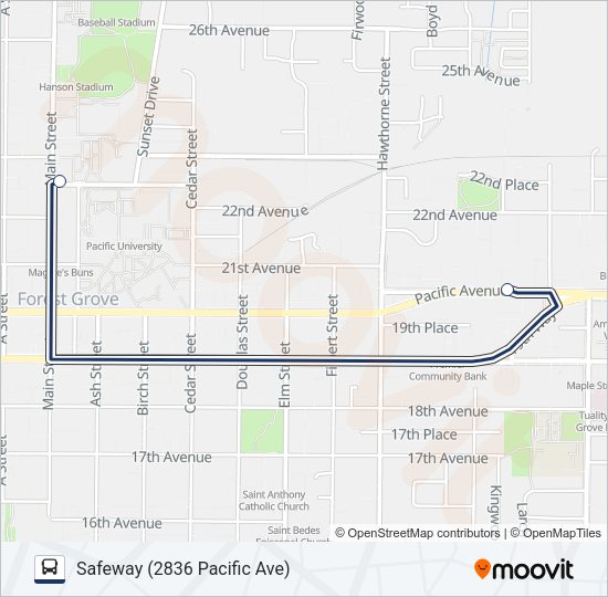 EAST LOOP Bus Line Map