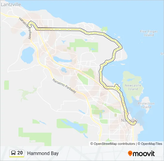 20 Bus Line Map