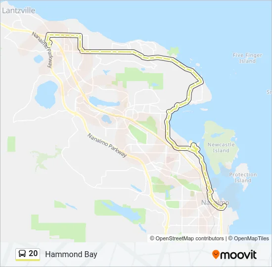 20 Bus Line Map