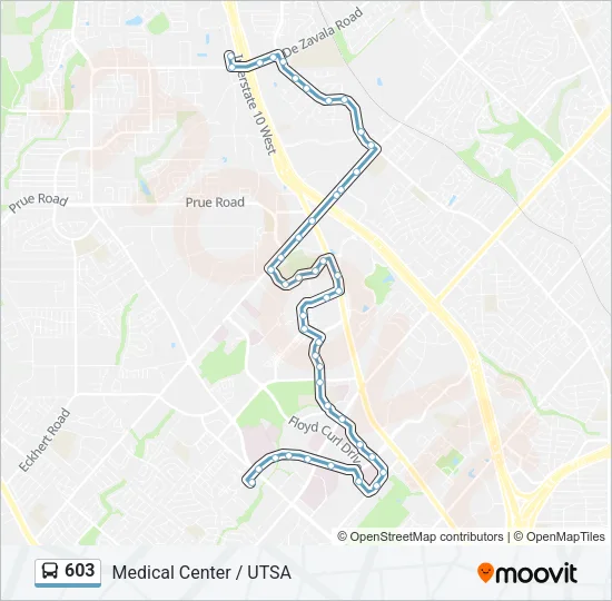 603 Bus Line Map
