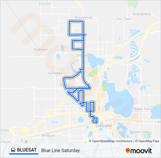 BLUESAT Bus Line Map