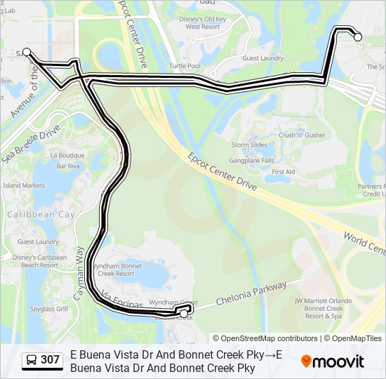 Mapa de 307 de autobús