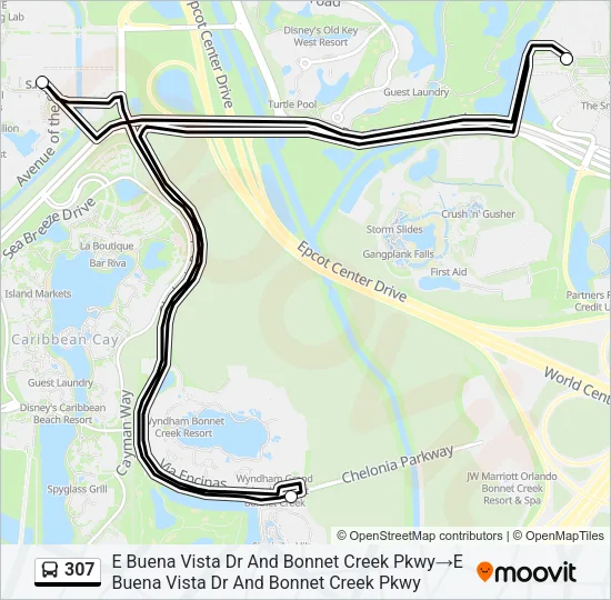 307 Bus Line Map