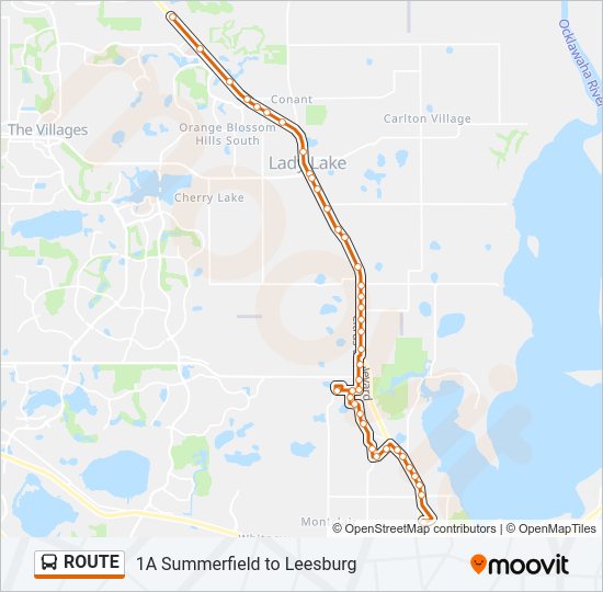 ROUTE Bus Line Map