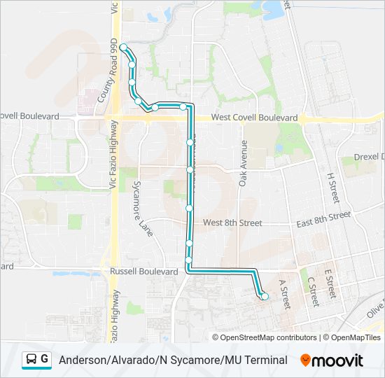 G bus Line Map