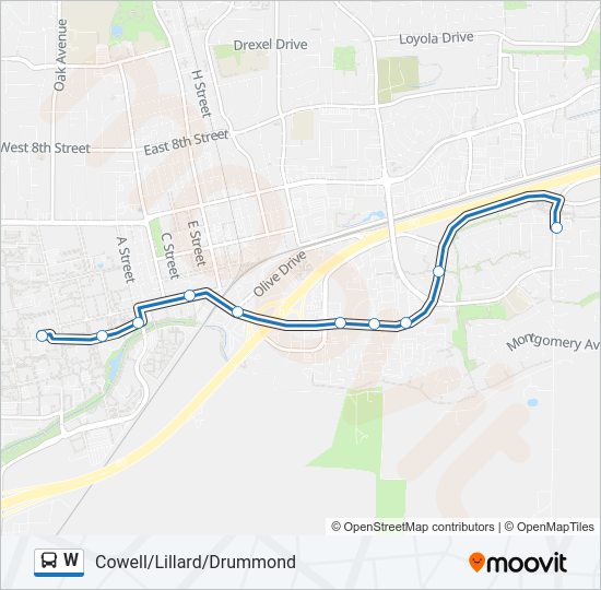 W bus Line Map