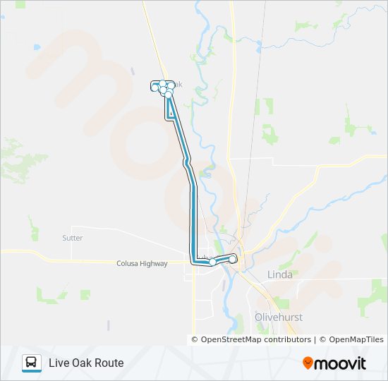 LIVE OAK ROUTE bus Line Map