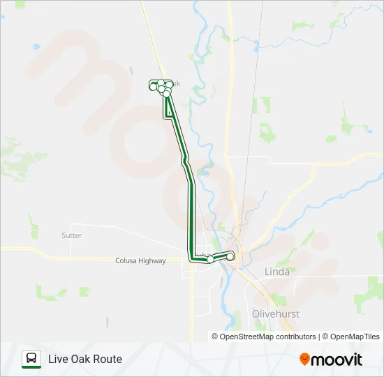 LIVE OAK ROUTE Bus Line Map