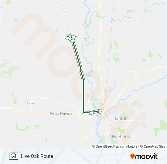 LIVE OAK ROUTE Bus Line Map