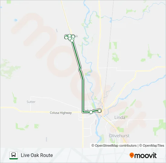 LIVE OAK ROUTE Bus Line Map