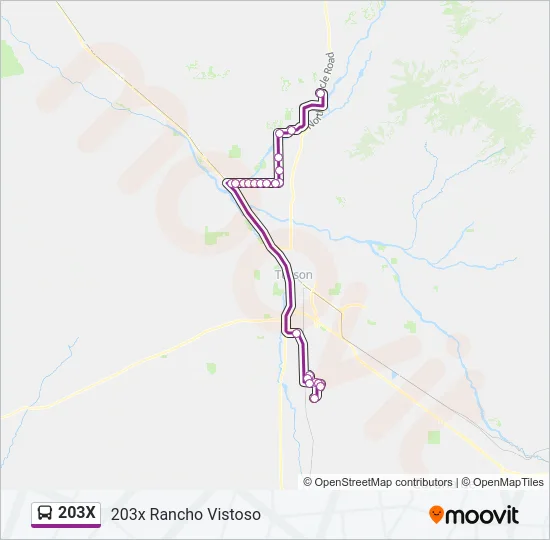 203X Bus Line Map