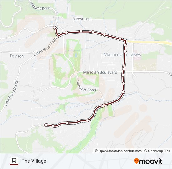 LATE NIGHT TROLLEY Bus Line Map