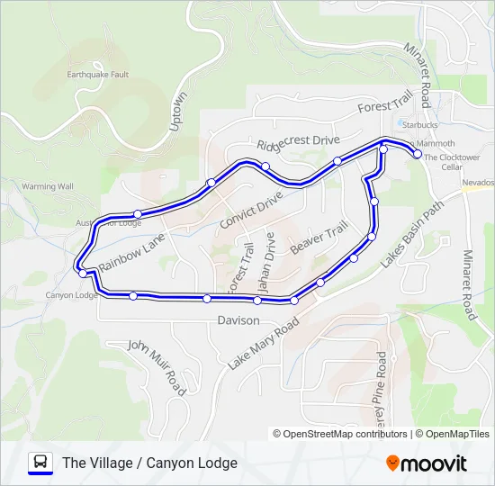 BLUE LINE Bus Line Map
