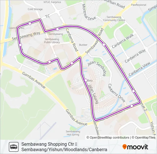 公交SSC SHUTTLE路的线路图