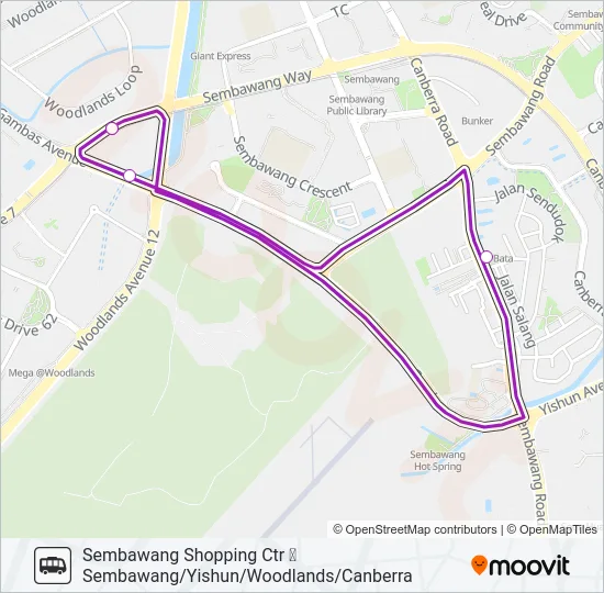 公交SSC SHUTTLE路的线路图