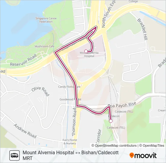 公交MT ALVERNIA HOSP SHUTTLE路的线路图
