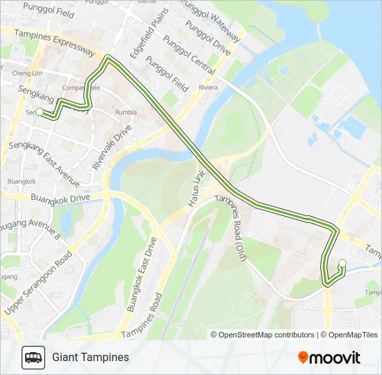 公交GIANT TAMPINES SHUTTLE路的线路图