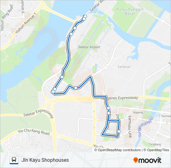 公交SAP LUNCH SHUTTLE (BLUE)路的线路图