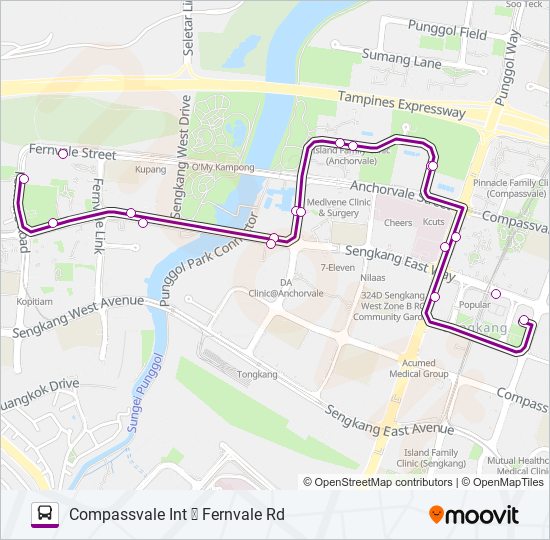 Bus 374 Route Map 374 Route: Schedules, Stops & Maps - Compassvale Bus Int (Updated)