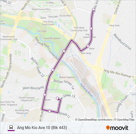 55B bus Line Map