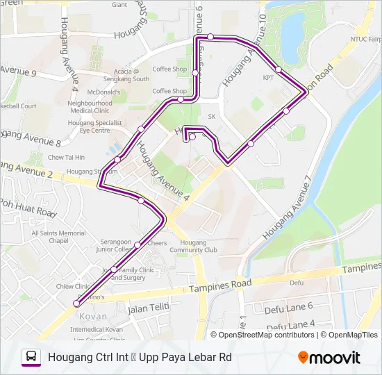 公交113路的线路图