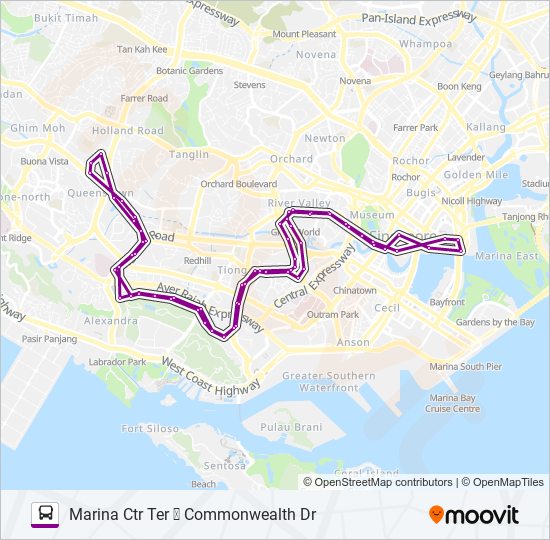 195 Route: Schedules, Stops & Maps - Marina Ctr Ter (Updated)