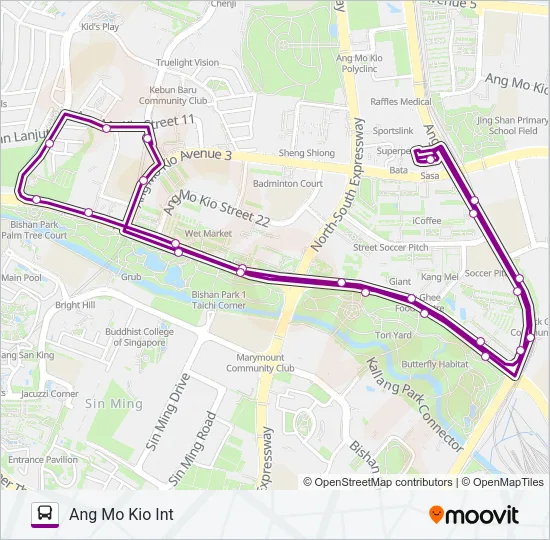 公交262路的线路图