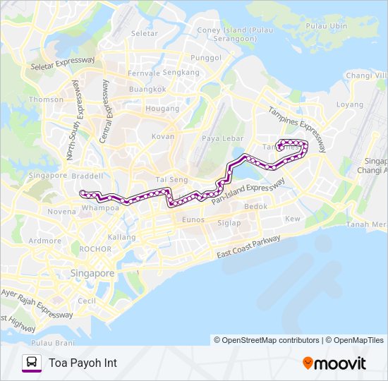 8 Bus Line Map