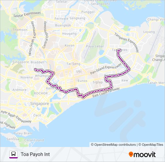 31 Bus Line Map