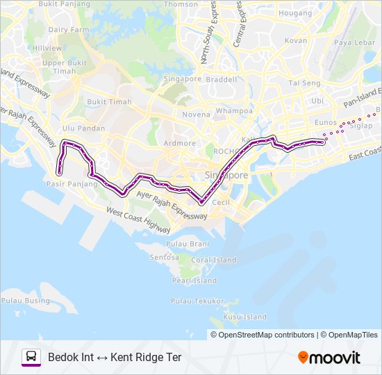 33路线 日程 站点和地图 Kent Ridge Ter