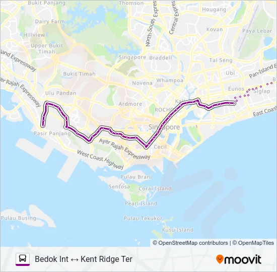 公交33路的线路图