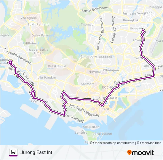 公交51路的线路图