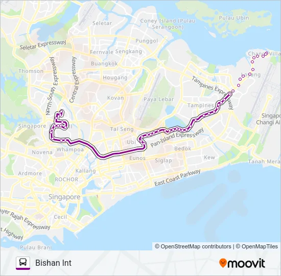 公交59路的线路图