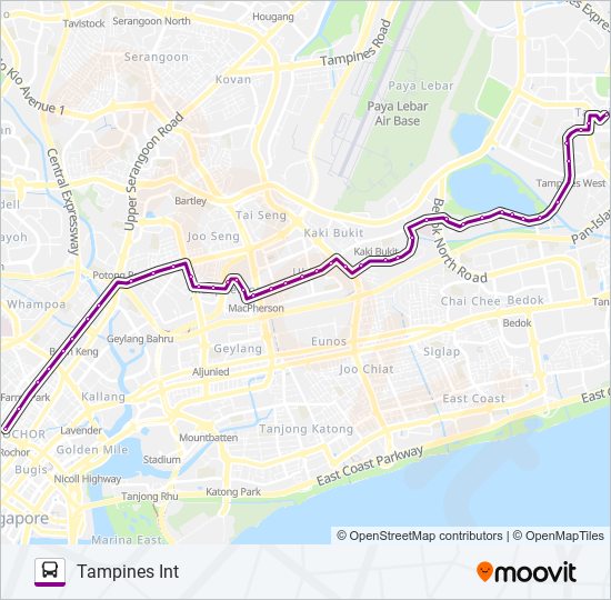 Bus 65 Route Map 65 Route: Schedules, Stops & Maps - Tampines Int (Updated)