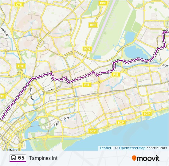 65路线 日程 站点和地图 Tampines Int