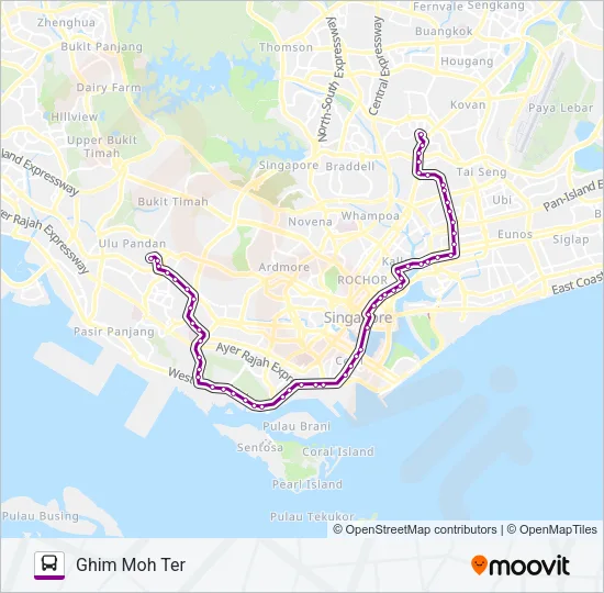 100 Bus Line Map