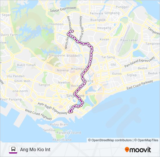 133 Route: Schedules, Stops & Maps - Ang Mo Kio Int (Updated)