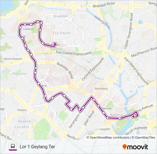 公交141路的线路图
