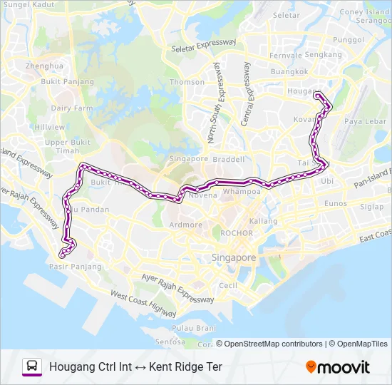 公交151路的线路图