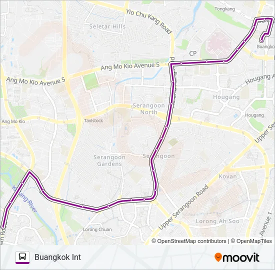 公交156路的线路图