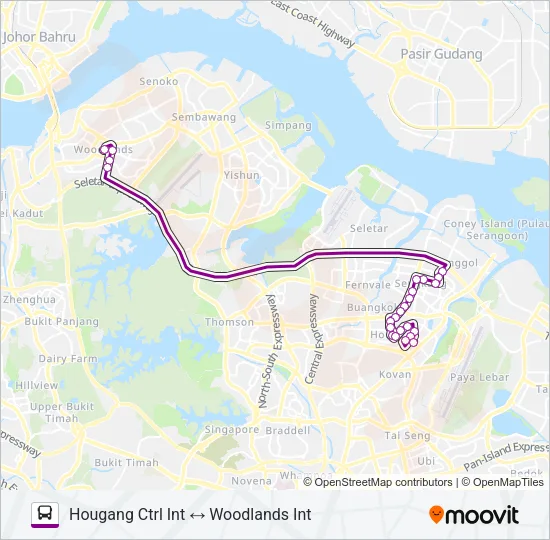 公交161路的线路图