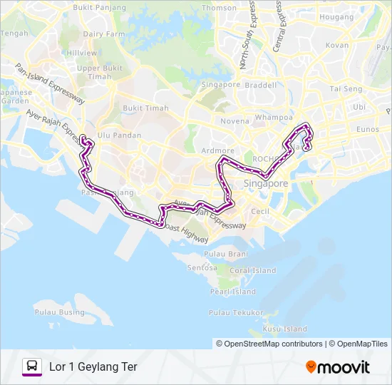 公交175路的线路图