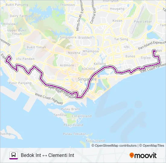 公交196路的线路图