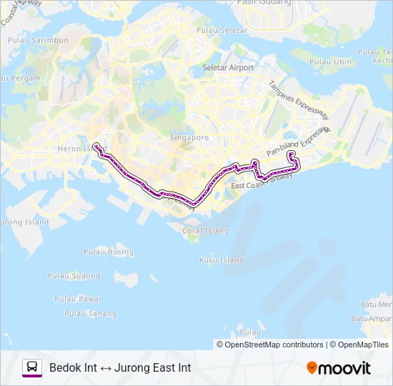 公交197路的线路图
