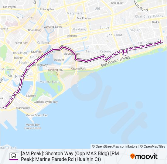 196E bus Line Map